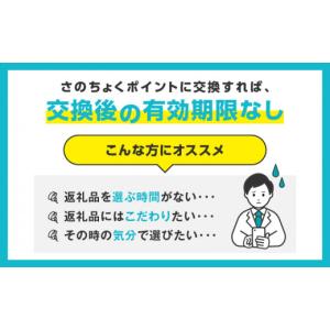 ふるさと納税 ポイント 大阪府 泉佐野市 有効...の詳細画像4