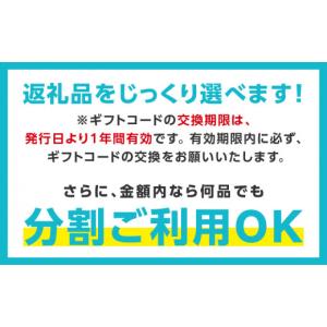 ふるさと納税 ポイント 大阪府 泉佐野市 有効...の詳細画像5