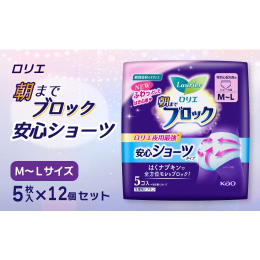 ふるさと納税 愛媛県 西条市 ロリエ　朝までブロック　安心ショーツ（5枚入×12個セット）