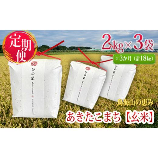 ふるさと納税 秋田県 にかほ市 《定期便》6kg×3ヶ月 秋田県産 あきたこまち 玄米 2kg×3袋...