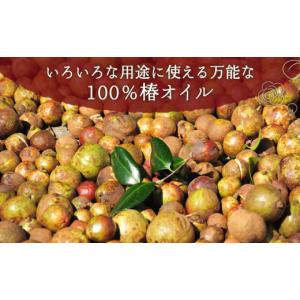 ふるさと納税 美容 長崎県 五島市 12回定期...の詳細画像4