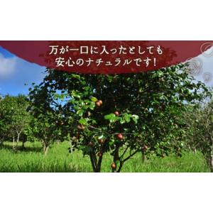 ふるさと納税 美容 長崎県 五島市 12回定期...の詳細画像5