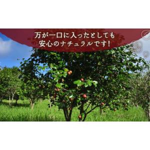 ふるさと納税 美容 長崎県 五島市 12回定期...の詳細画像5