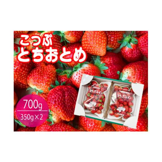 ふるさと納税 茨城県 鹿嶋市 小粒でかわいいとちおとめ 2パック入り1箱 （KBP-3）