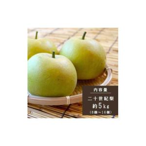 ふるさと納税 梨 奈良県 五條市 奈良の二十世...の詳細画像2