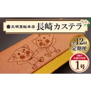 ふるさと納税 菓子 カステラ 長崎県 小値賀町 全12回定期便 おぢか焼印 特撰 カステラ 580g 1箱 「ちかまるくん」 《文明堂総本店》 DBF008 かすてら 和菓子 …