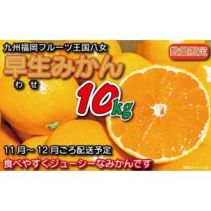 ふるさと納税 福岡県 八女市 【先行受付：2024年11月発送開始】みかん「早生」約１０ｋｇ｜＜配送...