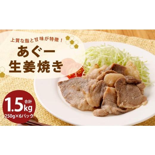 ふるさと納税 沖縄県 那覇市 「あぐー生姜焼き」セット｜あぐー豚 1.5kg ( 250g × 6パ...