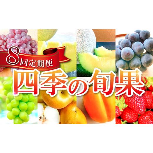 ふるさと納税 島根県 益田市 益田市四季の旬果定期便 8種【フルーツ 定期便 果物 くだもの 先行予...