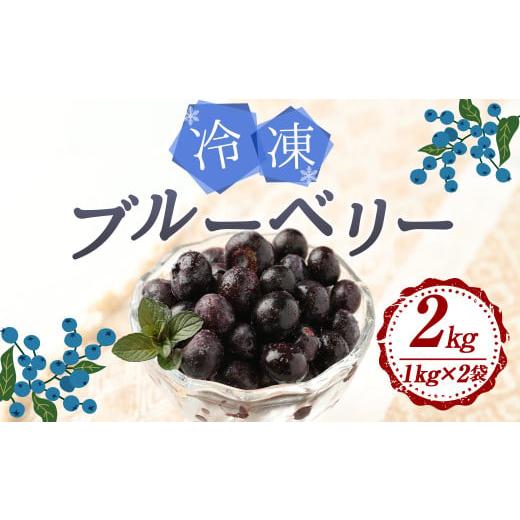 ふるさと納税 大分県 九重町 九重町産 冷凍 ブルーベリー 2kg (1kg×2袋) 農薬不使用 果...