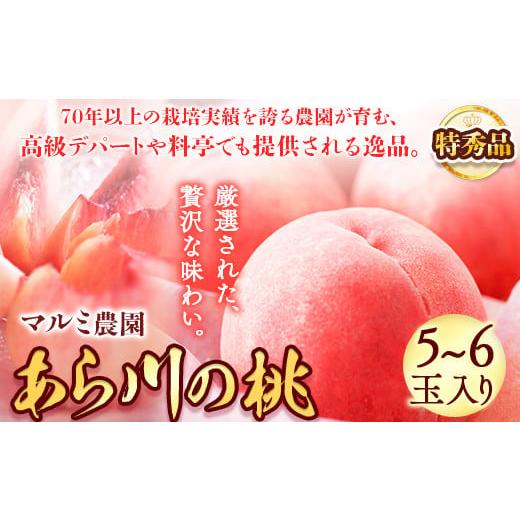 ふるさと納税 もも 和歌山県 紀の川市 桃 予約受付 「あら川の桃」 特秀品 5~6個入 マルミ農園...