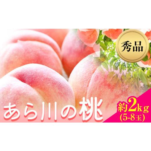 ふるさと納税 もも 和歌山県 紀の川市  2026年先行予約 和歌山産あら川の桃 約 2kg （5玉...