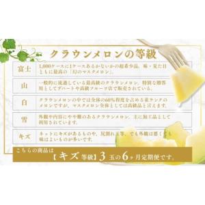 ふるさと納税 メロン メロン青肉 静岡県 森町...の詳細画像2