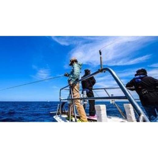 ふるさと納税 体験チケット 千葉県 浦安市 「釣り船」乗船1名様分