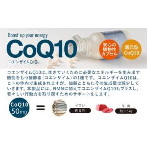ふるさと納税 健康食品 静岡県 富士宮市 10...の詳細画像4