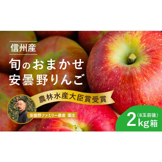 ふるさと納税 りんご 長野県 安曇野市 おまかせ旬のりんご ６月受付開始・８月頃から発送