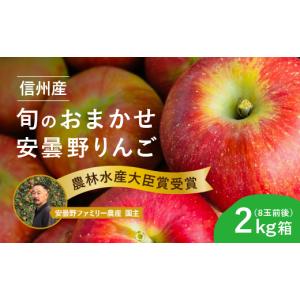ふるさと納税 りんご 長野県 安曇野市 おまか...の詳細画像1