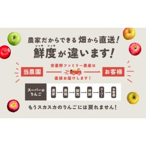 ふるさと納税 りんご 長野県 安曇野市 おまか...の詳細画像2