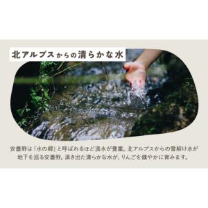 ふるさと納税 りんご 長野県 安曇野市 おまか...の詳細画像4