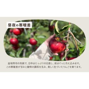 ふるさと納税 りんご 長野県 安曇野市 おまか...の詳細画像5