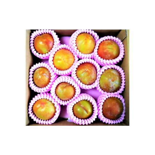 ふるさと納税 もも 山形県 上山市 すもも（秋姫）１.５ｋｇ　0017-2606