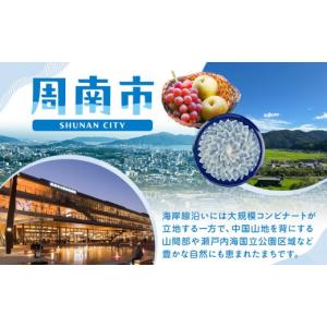 ふるさと納税 雑貨・日用品 インテリア 山口県...の詳細画像5