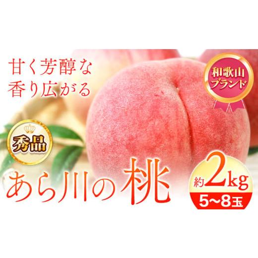 ふるさと納税 もも 和歌山県 紀の川市 桃 秀品 和歌山のブランド桃 あら川の桃 先行予約 「あら川...