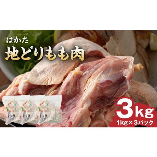 ふるさと納税 福岡県 久留米市 はかた地どりもも肉　3kg