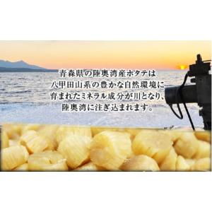 ふるさと納税 魚貝類 ホタテ 青森県 むつ市 ...の詳細画像1