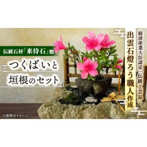 ふるさと納税 民芸品・工芸品 兵庫県 豊岡市 かごバッグ 柳かご（大