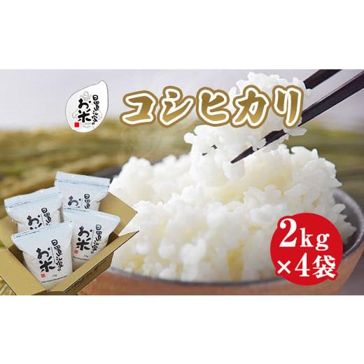 ふるさと納税 鳥取県 北栄町 １５３．日置さん家のお米「コシヒカリ」2kg×4袋【精米・2024年産...