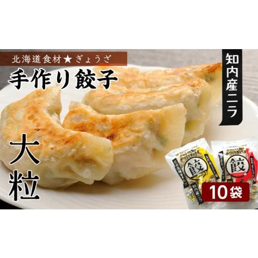 ふるさと納税 北海道 知内町 北海道の食材たっぷり！手作り餃子１０袋セット＜スリーエス＞