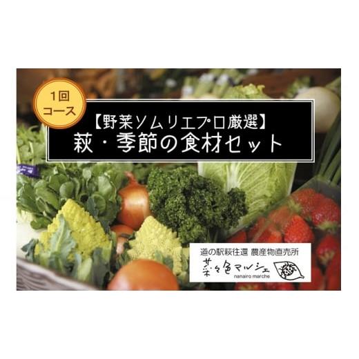 ふるさと納税 山口県 萩市 [No.5226-0601]【野菜ソムリエプロ厳選】萩・季節の食材セット...