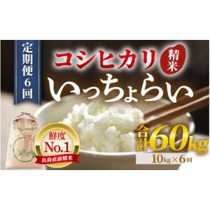ふるさと納税 米 コシヒカリ 福井県 あわら市...の詳細画像1