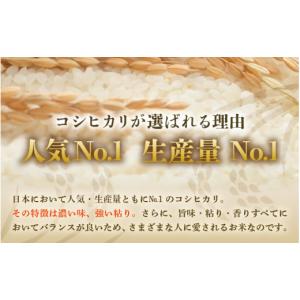 ふるさと納税 米 コシヒカリ 福井県 あわら市...の詳細画像2