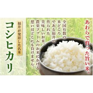 ふるさと納税 米 コシヒカリ 福井県 あわら市...の詳細画像3