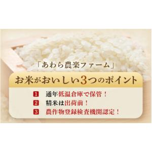 ふるさと納税 米 コシヒカリ 福井県 あわら市...の詳細画像5