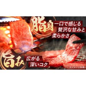ふるさと納税 牛肉 焼肉・バーベキュー 長崎県...の詳細画像5