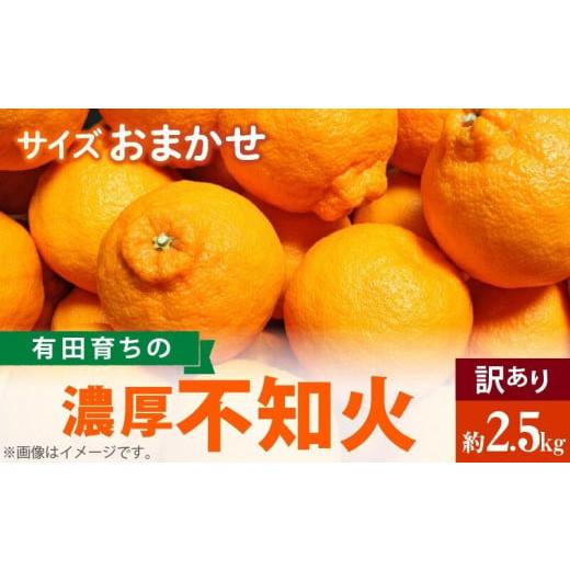 ふるさと納税 和歌山県 湯浅町 AB7055n_（先行予約）有田育ちの濃厚 不知火 (デコポンと同品...