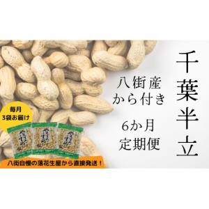 ふるさと納税 豆類 落花生 千葉県 八街市 落花生 6か月定期便 八街産カラ付落花生 「千葉半立」