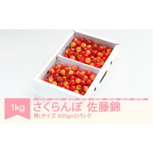 ふるさと納税 果物類 さくらんぼ 山形県 村山市...の商品画像