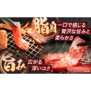 ふるさと納税 牛肉 焼肉・バーベキュー 長崎県...の詳細画像5