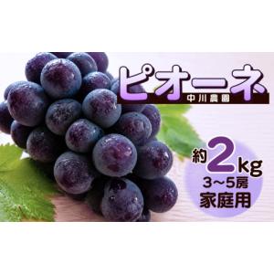 ふるさと納税 果物類 ぶどう 岡山県 新見市 ...の詳細画像1