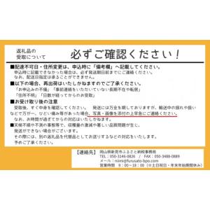 ふるさと納税 果物類 ぶどう 岡山県 新見市 ...の詳細画像2