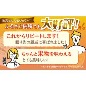 ふるさと納税 アイス・ヨーグルト ジェラート ...の詳細画像2