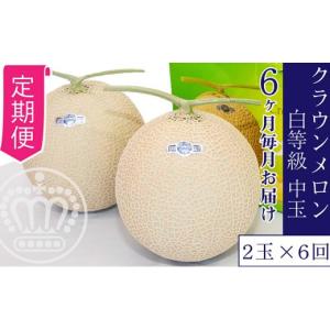 ふるさと納税 メロン メロン青肉 静岡県 浜松...の詳細画像1