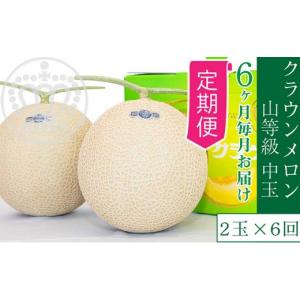 ふるさと納税 メロン メロン青肉 静岡県 浜松...の詳細画像1
