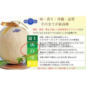 ふるさと納税 メロン メロン青肉 静岡県 浜松...の詳細画像3