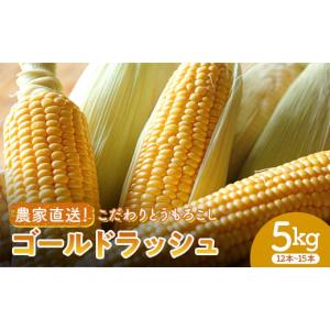 ふるさと納税 群馬県 富岡市 《先行》農家直送！こだわりトウモロコシ