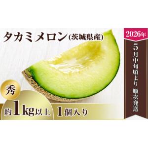 ふるさと納税 メロン メロン青肉 茨城県 下妻...の詳細画像1